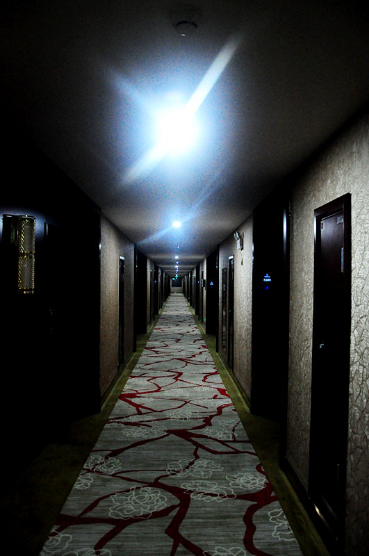 DSC_8516_.jpg