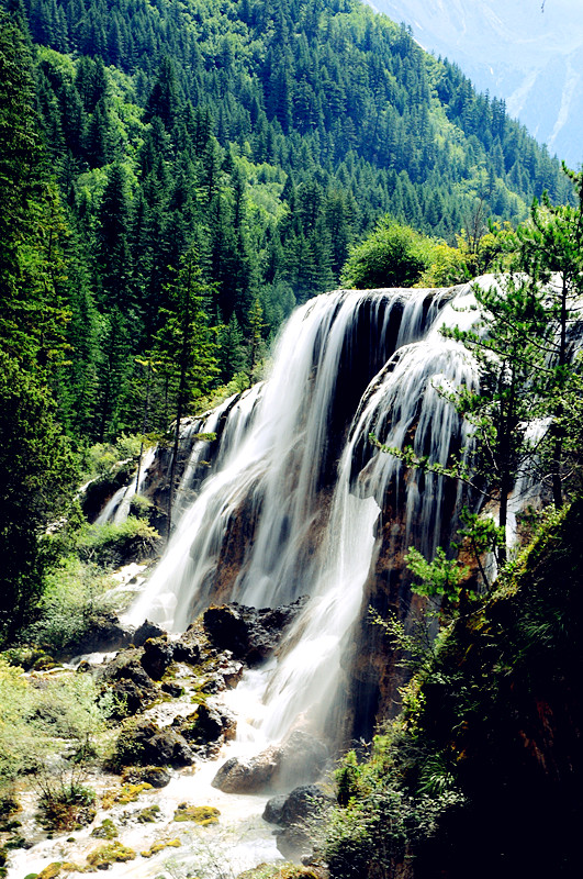DSC_2235_.jpg