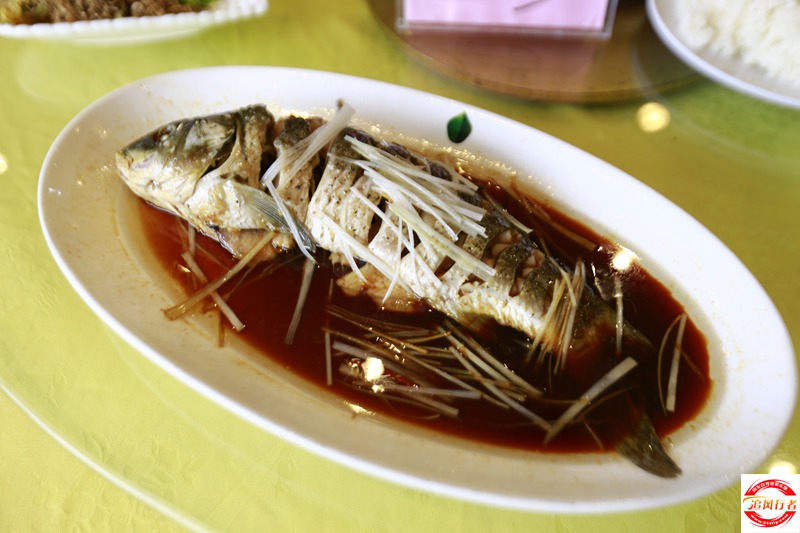 _U1A8533.JPG