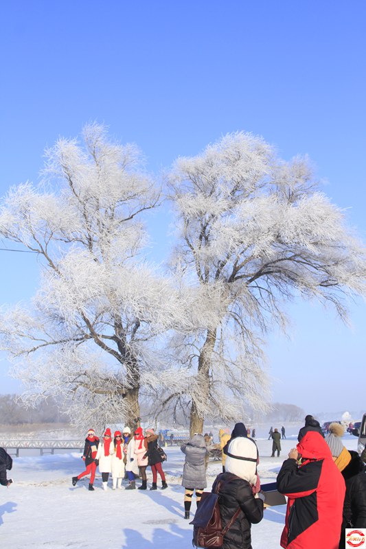 _MG_6645.JPG