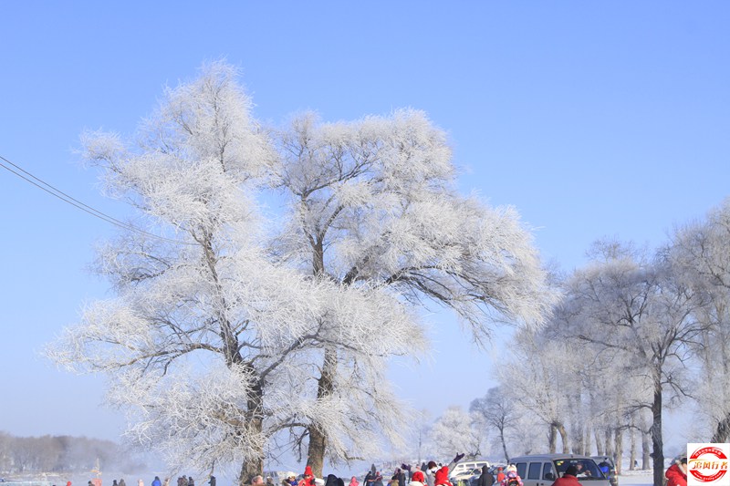 _MG_6644.JPG