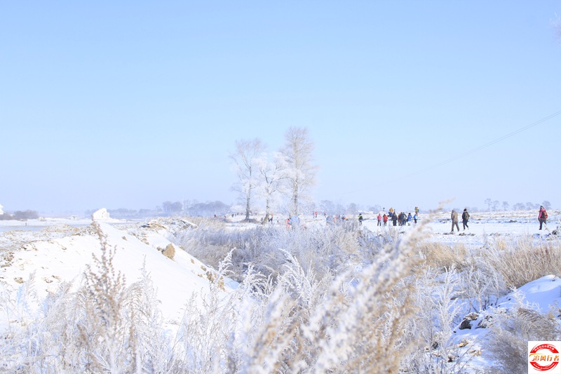 _MG_6681.JPG