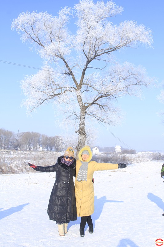 _MG_6685.JPG