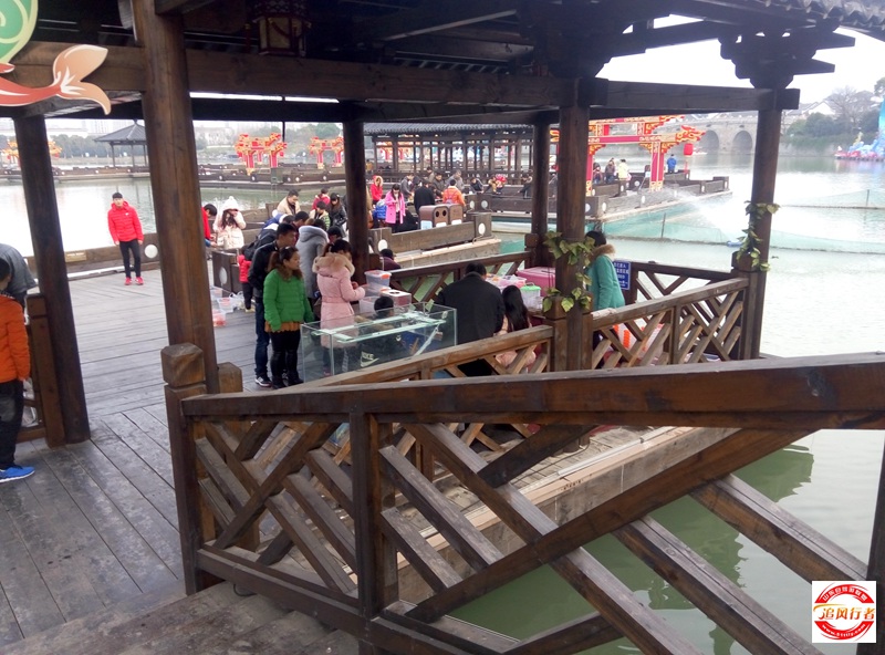 P60101-152805.jpg