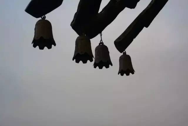 640 (69).jpg