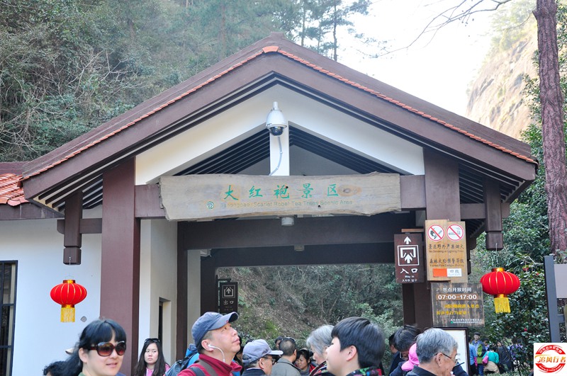 DSC_8487.jpg