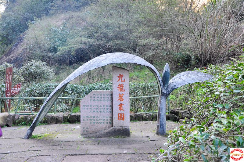 DSC_8508.jpg