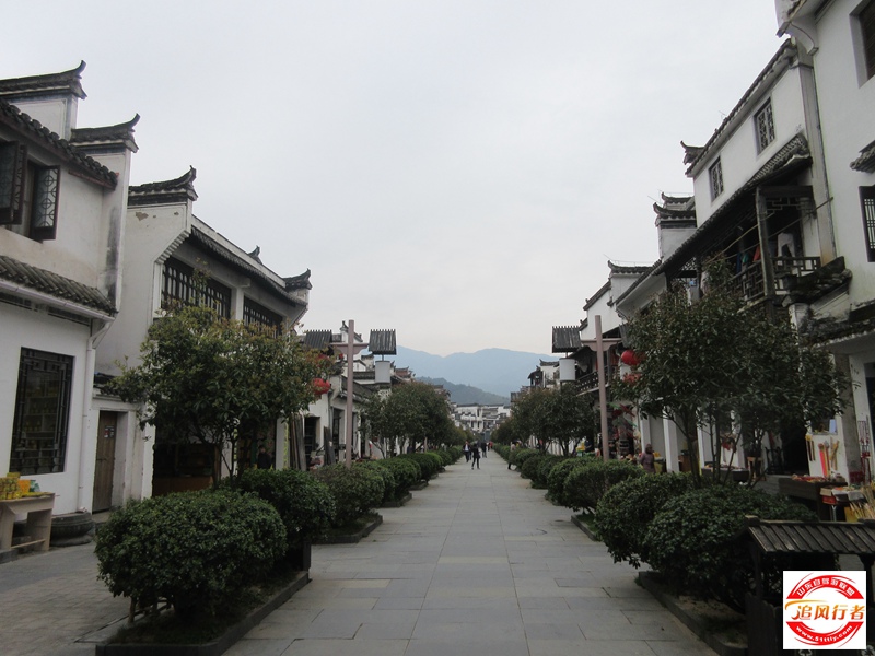 IMG_1233.jpg