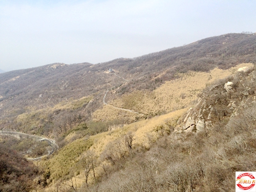 IMG_5526.jpg