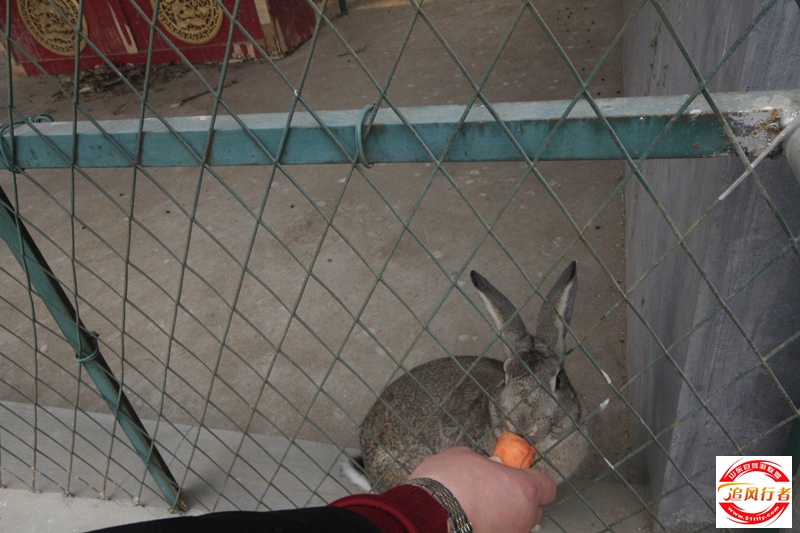_MG_9318.jpg