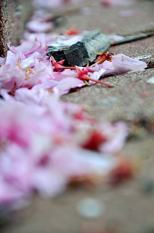 DSC_2422_.jpg