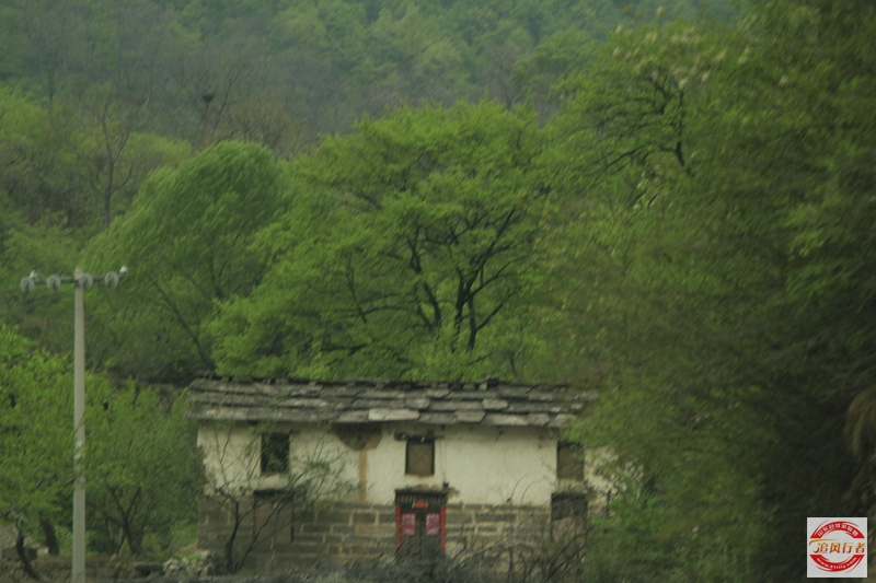 _MG_0125.jpg