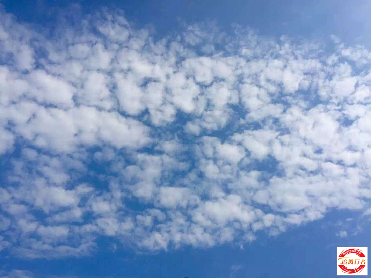 QQͼƬ20160617153619.jpg