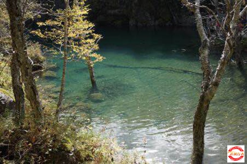 IMG_5329.jpg
