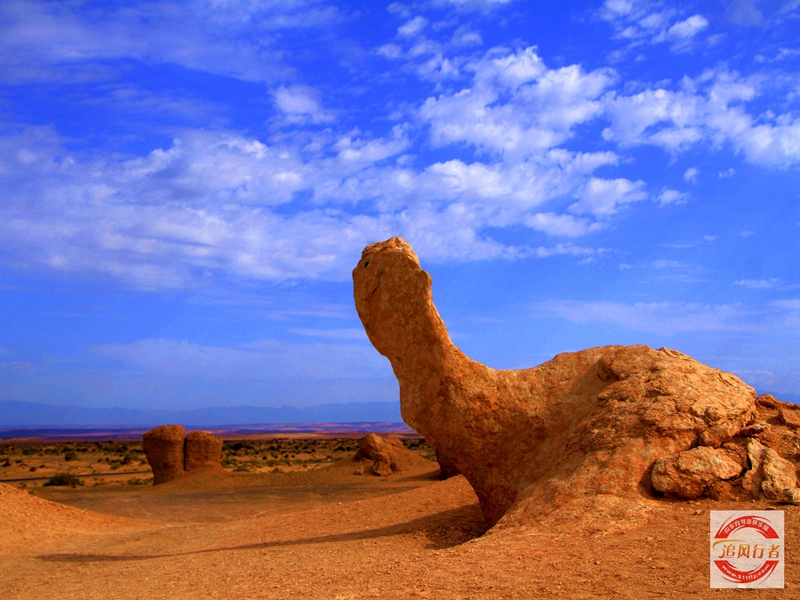 _MG_6253.jpg