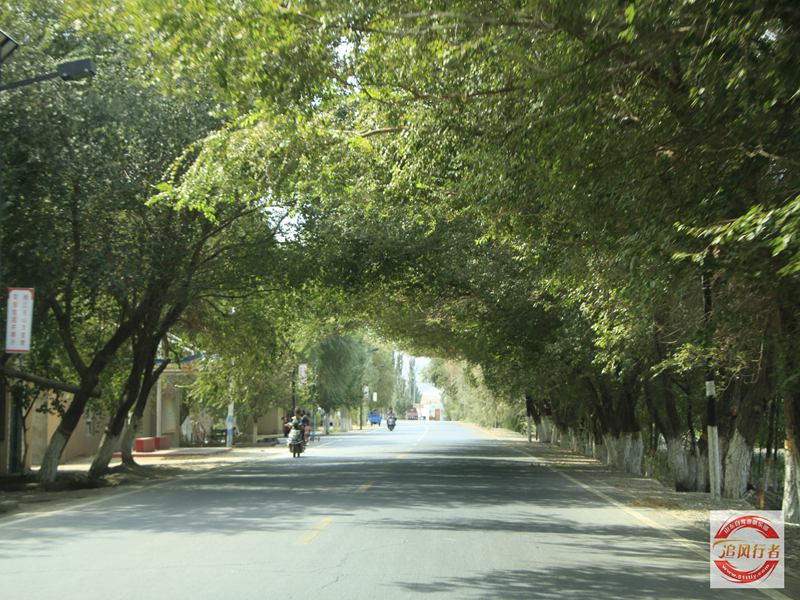 _MG_6824.jpg