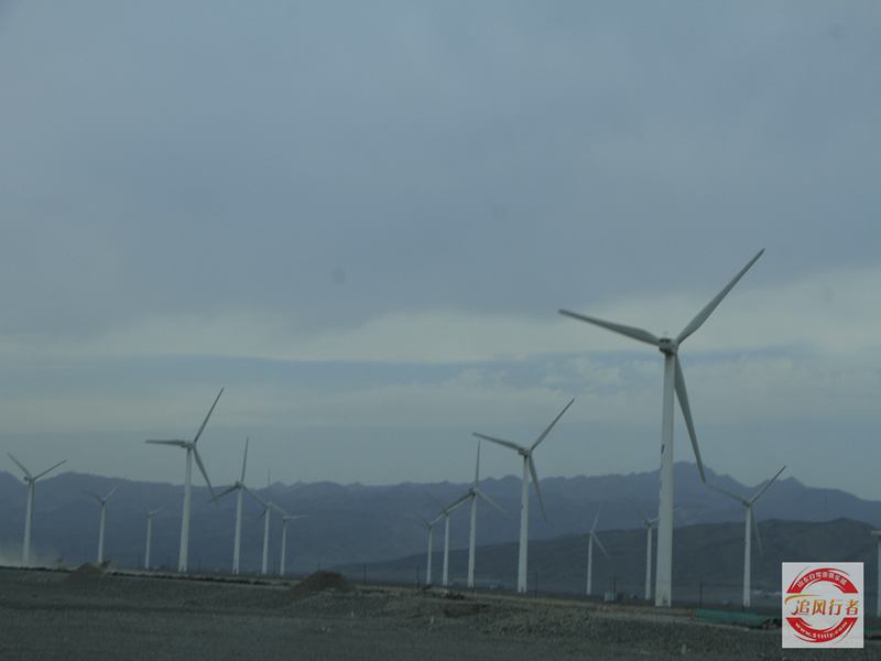 _MG_6875.jpg