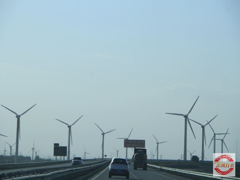 _MG_6924.jpg
