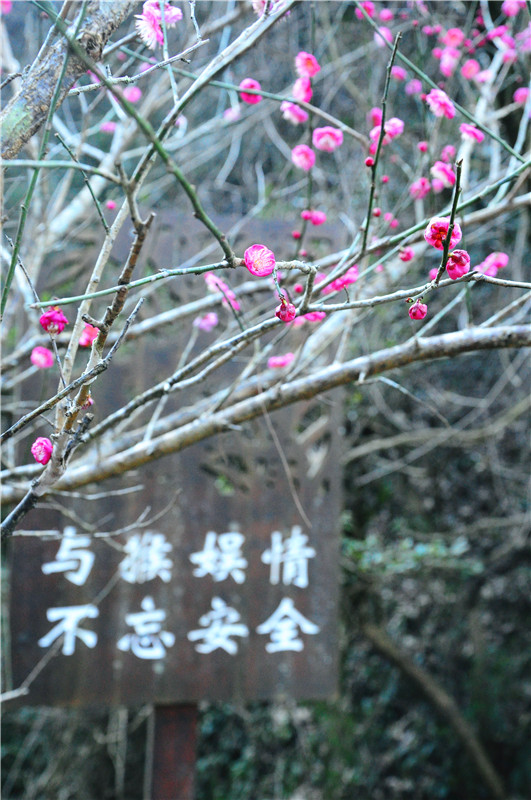 DSC_7668.jpg