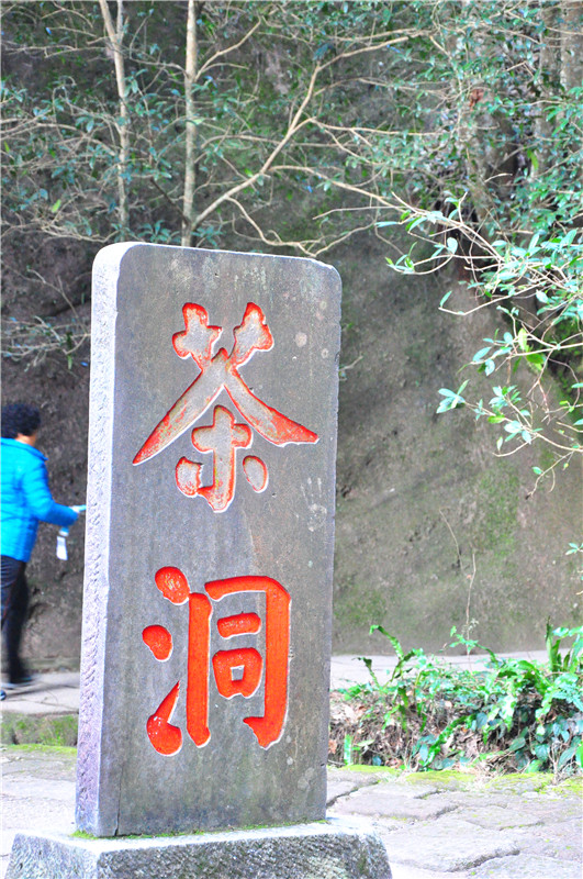 DSC_7727.jpg