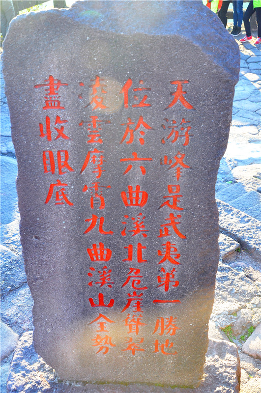 DSC_7833.jpg