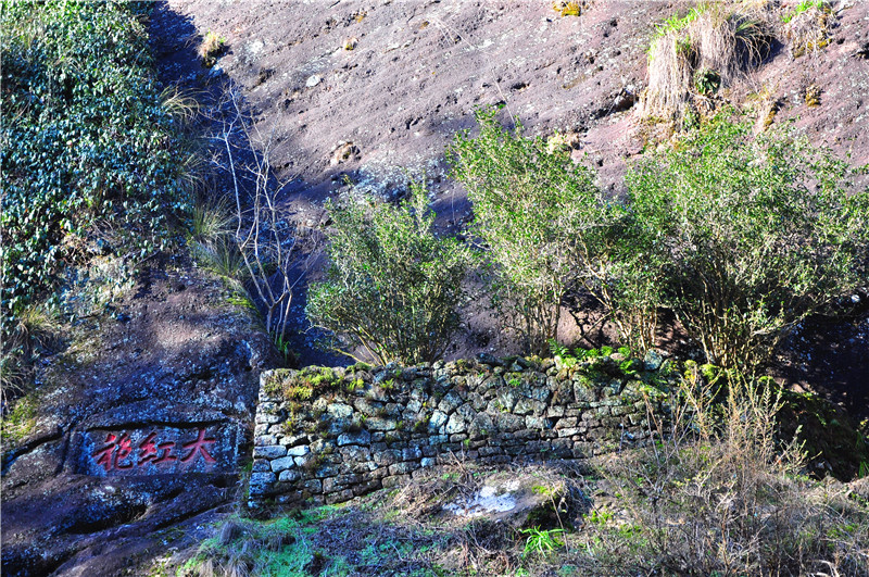 DSC_8532.jpg