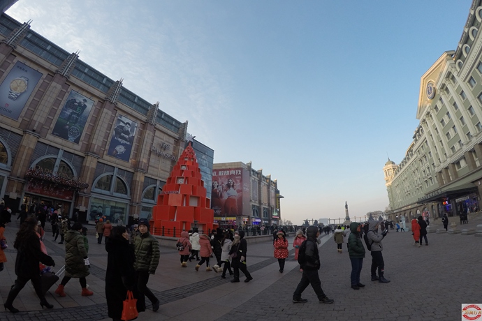 05.jpg