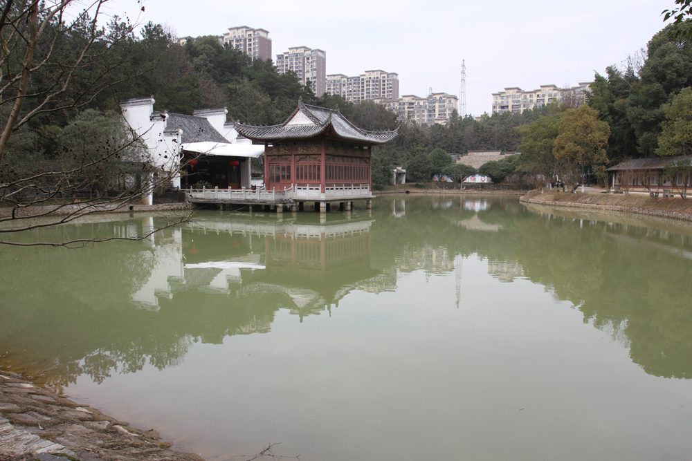 IMG_8774.JPG