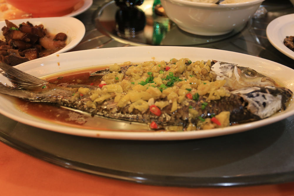GM8A9387 - .JPG