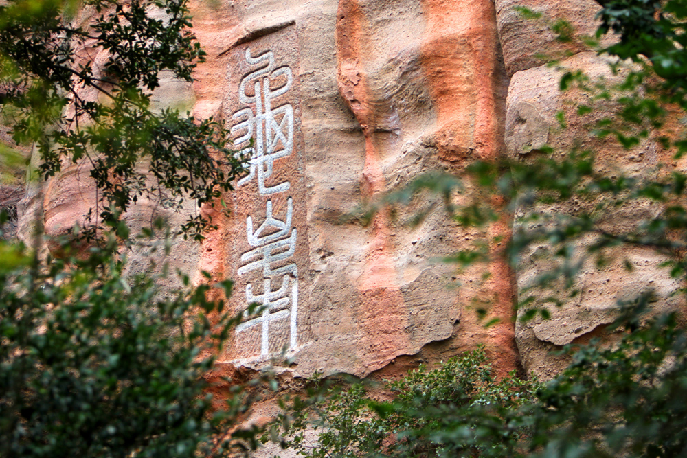 IMG_8961.JPG