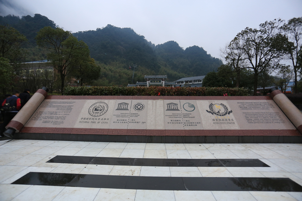 GM8A9417.JPG