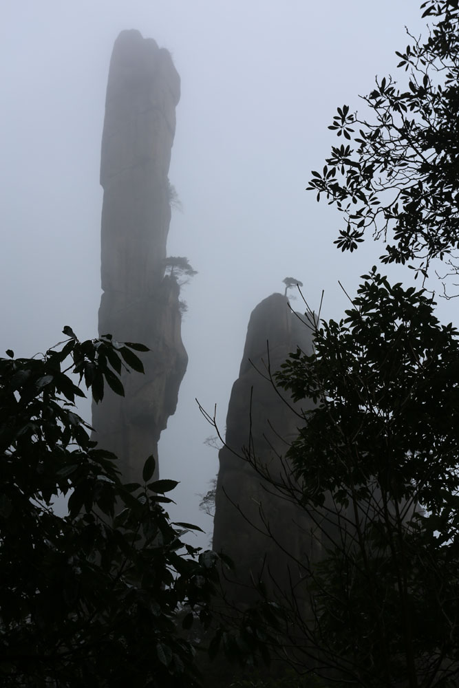 GM8A9471.JPG