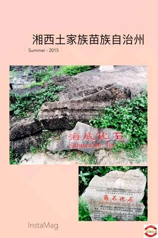 ΢ͼƬ_20170801143832222.jpg