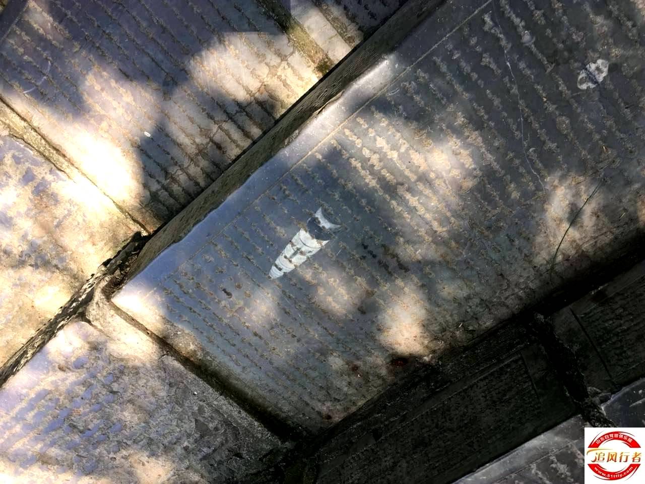 ΢ͼƬ_20170801143956280.jpg