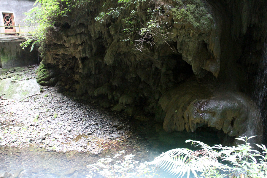 IMG_8911.JPG