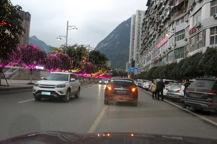IMG_8982.JPG