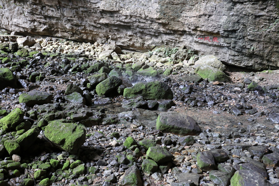 GM8A9097.JPG