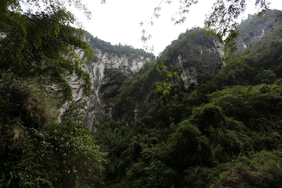 GM8A9318.JPG