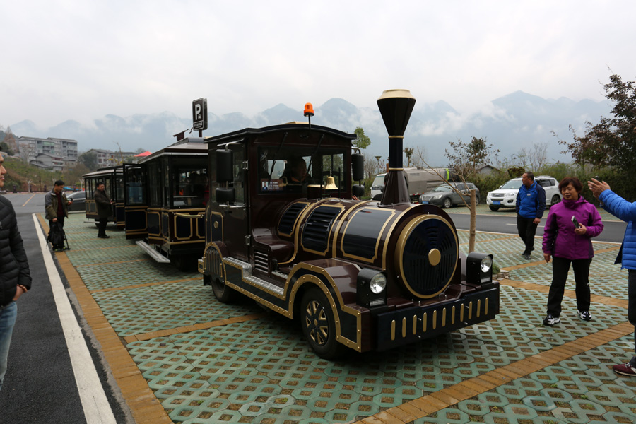 GM8A9350.JPG