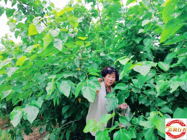 ΢ͼƬ_20180523145903.jpg