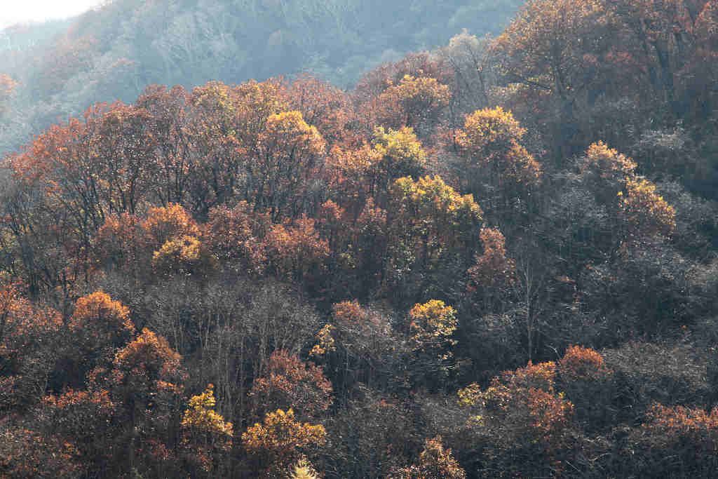 ֮