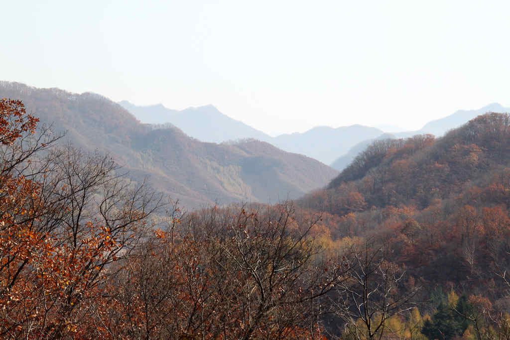֮