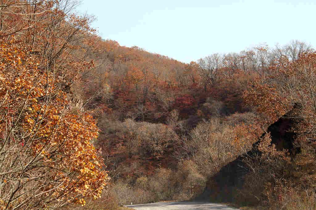֮