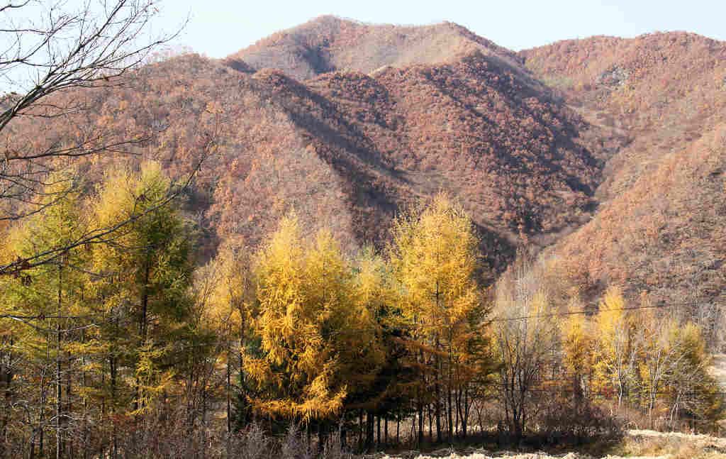 ֮