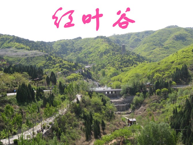 ϲɽԼι(ǹٷͼƬ׷--QQ)