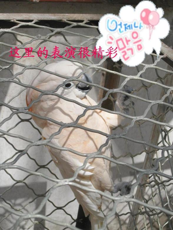 Ҷȶǵı-ҵ