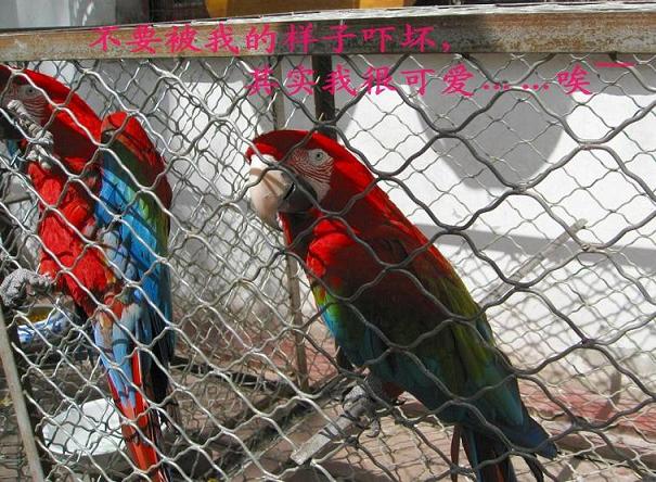 Ҷȶǵı-ҵ