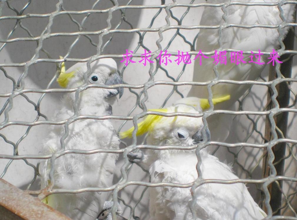 Ҷȶǵı-ҵ