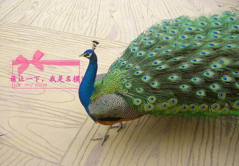 Ҷȶǵı-ҵ