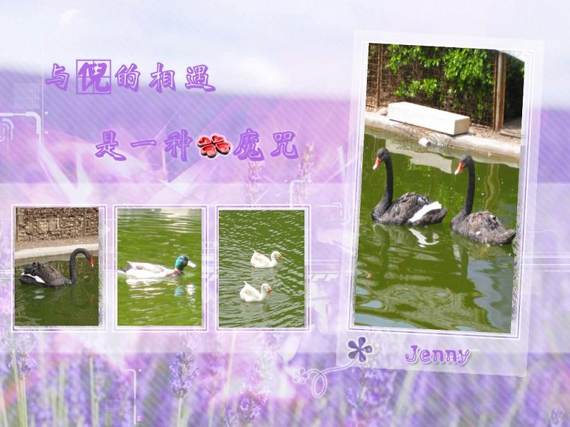 Ҷȶǵı-ҵ